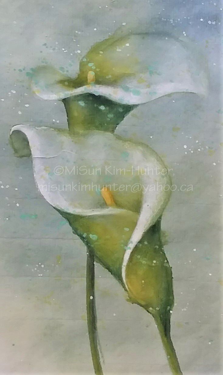 9x11 calla